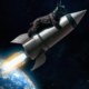emi the giant schnauzer on a rocket in earth orbit