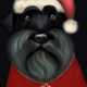 emi the giant schnauzer dressed as santa